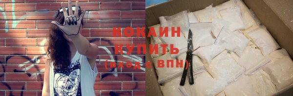 прущие грибы Волосово