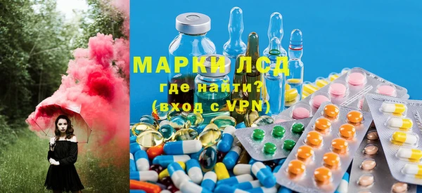 дживик Верея