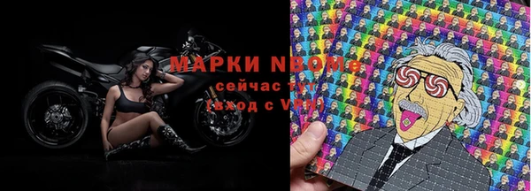 прущие грибы Волосово
